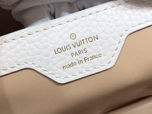 Bag Louis vuitton CAPUC