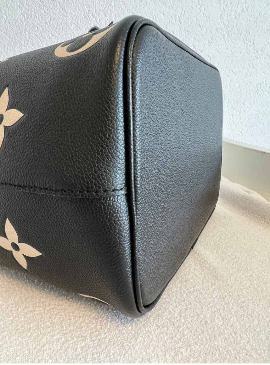 Bag Louis  vuitton
